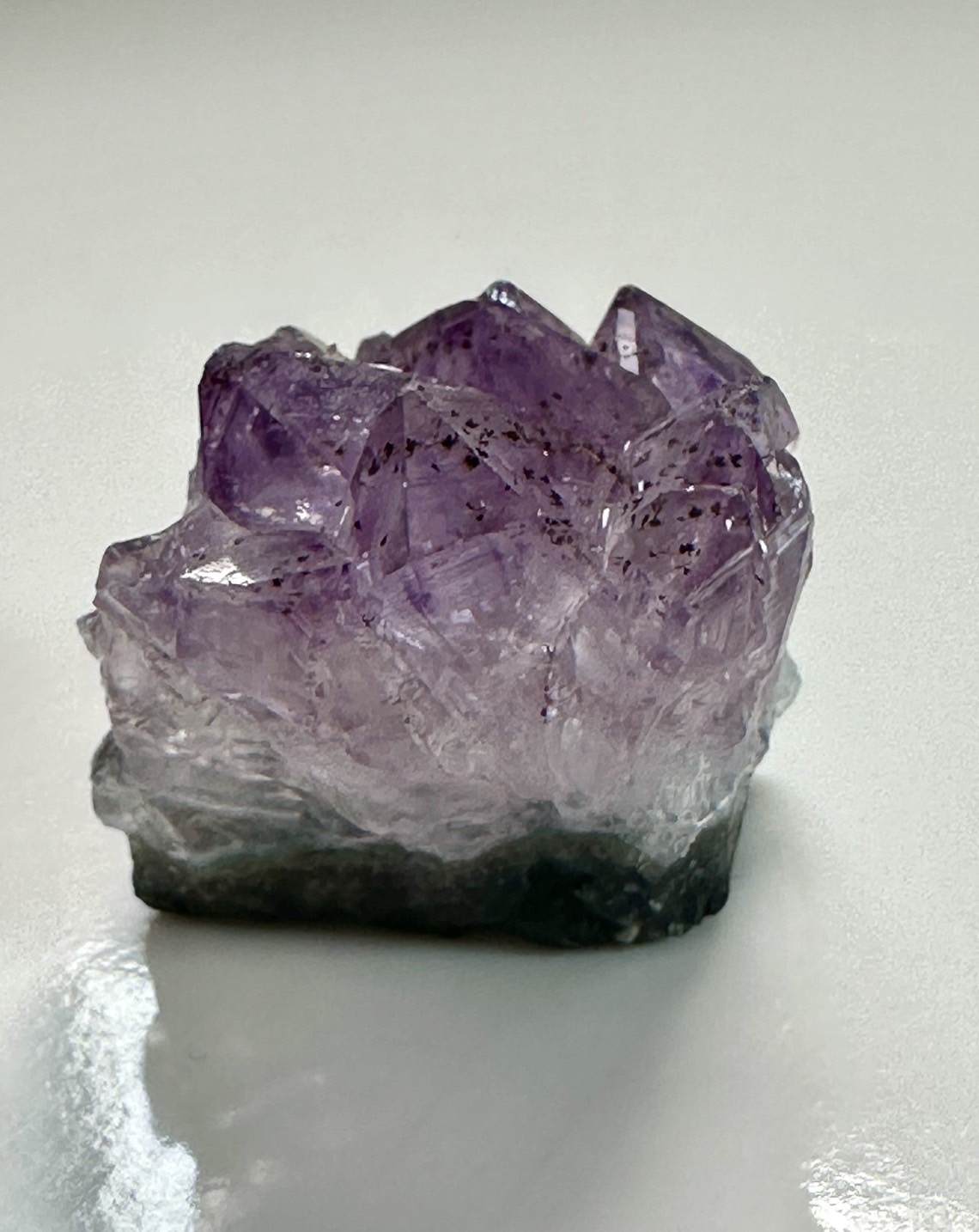 Image2